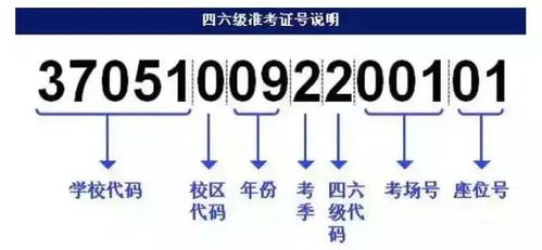 澳门100%最准一肖,解答配置方案_智巧版LRO7.35