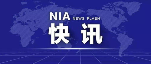 2025年今晚澳门开特马,安全性方案执行_触感版DFB7.25