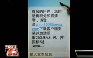 探秘反诈特色小店，揭开网络诈骗真相的面纱