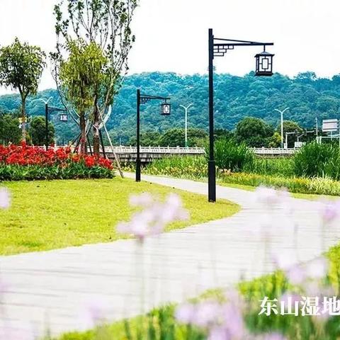 zhangdengguacai 第7页