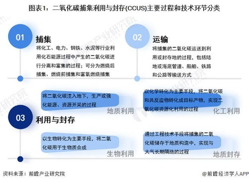 2025年热门疫病图详解，一步步成为疫病监测专家