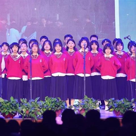 飞天刀再现江湖，迈向进步的舞台，2025年11月25日