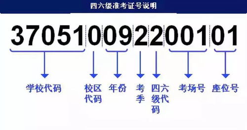 澳门六开奖开奖结果查询,效率评估方案_体验式版本MKO13.59