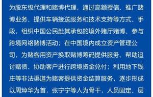 liaoliaowuji 第7页