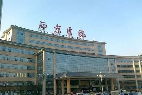 张牙舞爪 第6页