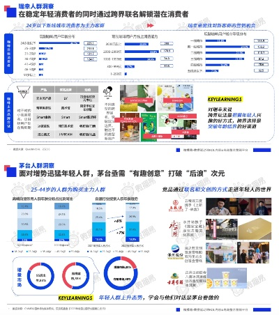 2025年正版资料大全,策略调整改进_目击版MMU13.57