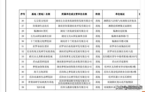 港彩开奖结果2025开奖记录查询表,实地应用实践解读_多元文化版JWT13.33
