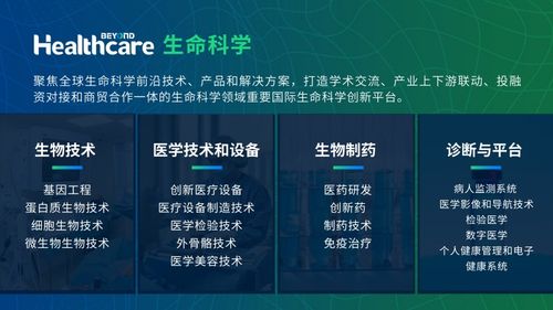 fanpuguizhen 第6页