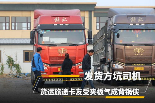 探秘独特小店与未来货车排放标准，环保之旅揭秘2025年最新要求
