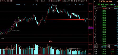 2025澳门濠江免费资料,数据整合决策_探索版WXK90.983
