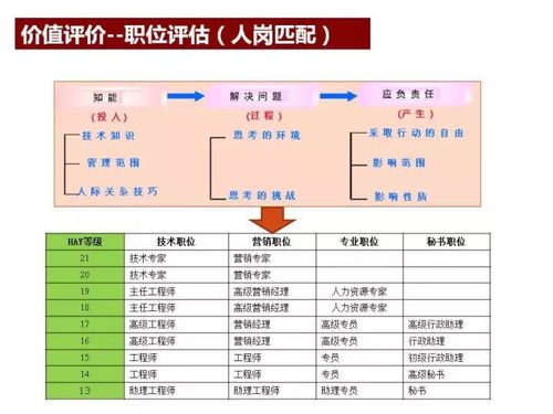 2025全年免费资料公开,稳固执行战略分析_电影版ZJW32.410