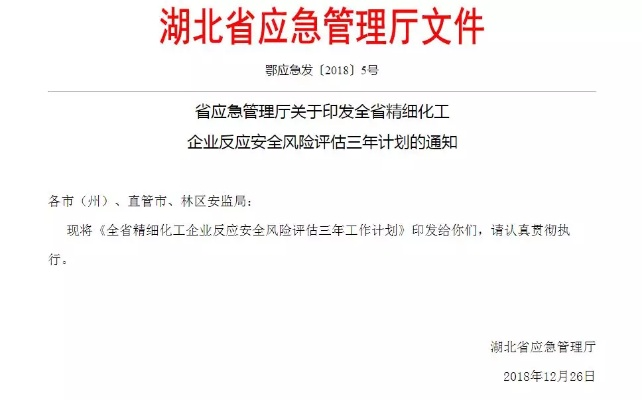 二四六香港资料期期准2025,安全设计方案评估_SE版XRV18.363