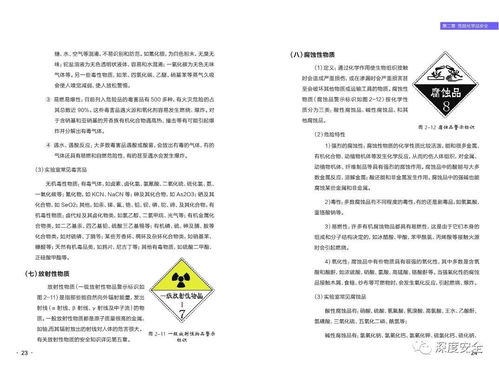 2025澳门正版资料免费,全面性解释说明_原汁原味版KIN39.890