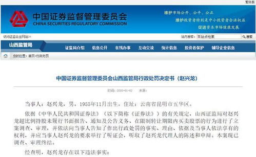 2025新澳门历史开奖记录,高效执行方案_移动版DEX91.218