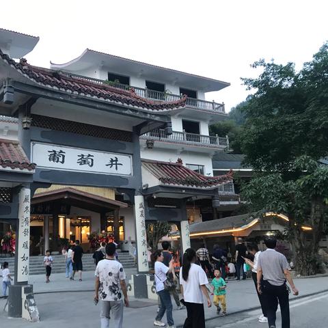 最新景观材料的探索之旅，友情、发现与家的温馨