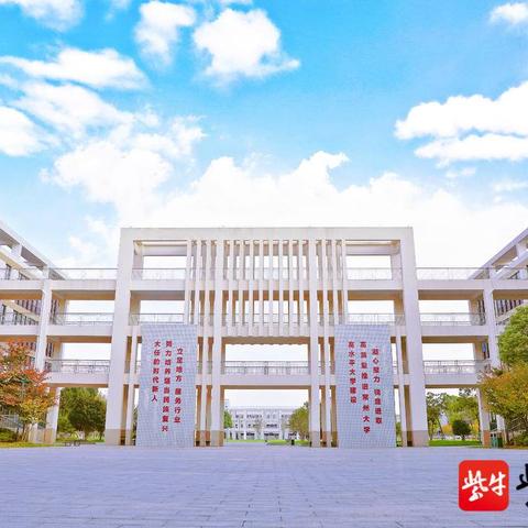 往年11月28日扬子人才网热门招聘信息解析与评测