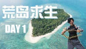 探索 第246页