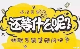 青翘价格背后的故事，回顾2017年12月1日的记忆与温情