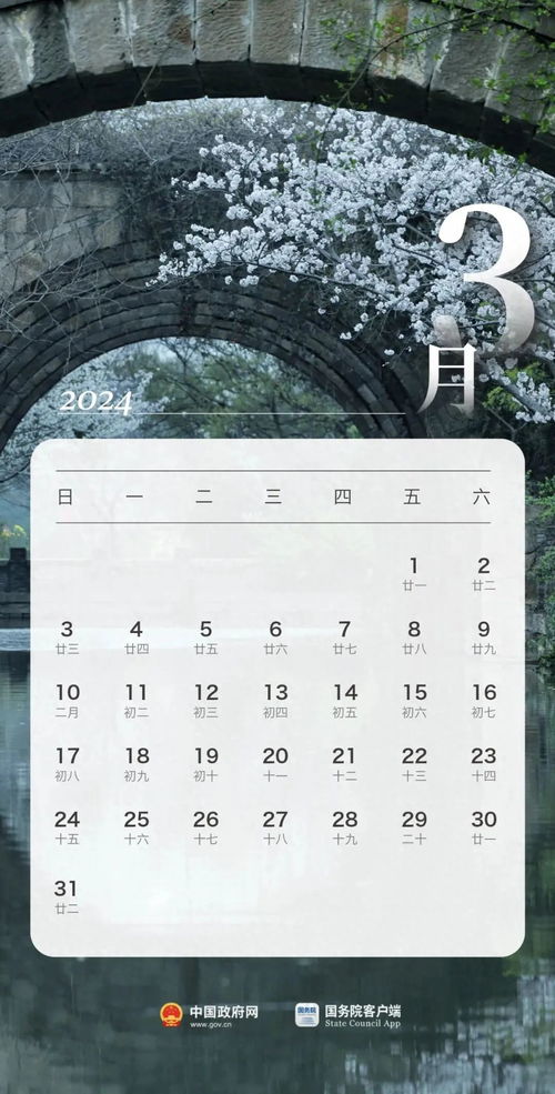 无线杀手未来展望，深度解析2025年12月1日的影响与趋势