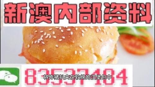 新澳2025年精准正版资料337期,诠释分析解析_网页版35.770-6