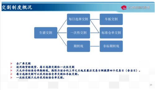 新澳准资料337期免费提供,科学评估解析说明_XP3.895-2