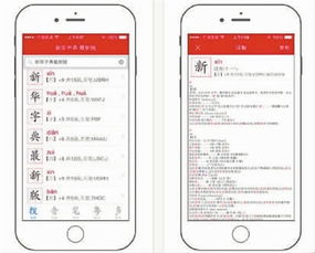 澳门三肖三码精准100%新华字典337期,数据导向解析计划_旗舰版5.620-4