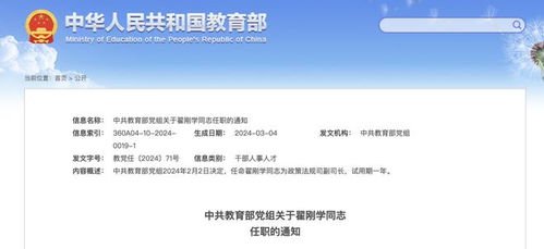 广西副厅级职务公示前瞻，2025年公示系统评测与预测分析