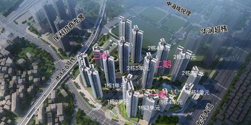 揭秘未来篇章，北花园最新消息与未来影响展望（2025年12月）