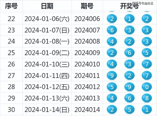 2025新奥历史开奖记录63期,系统分析解释定义_专业款70.929-1