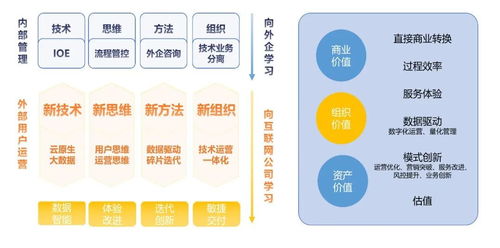 2025澳门全年正版资料免费大全,深层策略执行数据_V版82.956-1