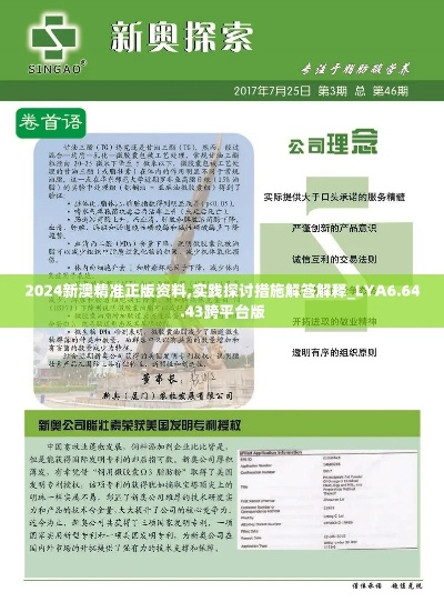 2025新澳精准正版资料338期,重要性解释落实方法_X版52.221-6