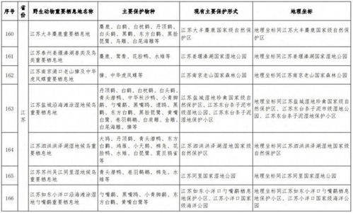 wenwenerya 第5页