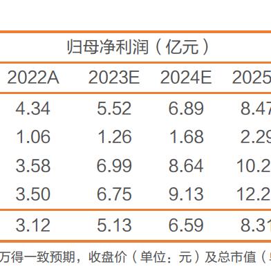 2025新澳门正版免费正题338期,重要性解释落实方法_超值版85.314-5
