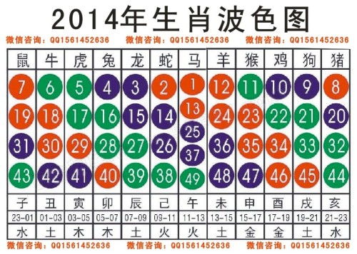 走马观花 第4页