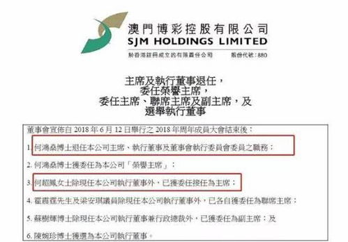2025新澳门资料大全,全盘细明说明_VLH57.436经典版