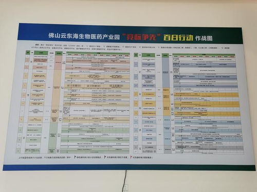 2025香港资料大全正版资料图片,精细执行计划_N版29.865-8