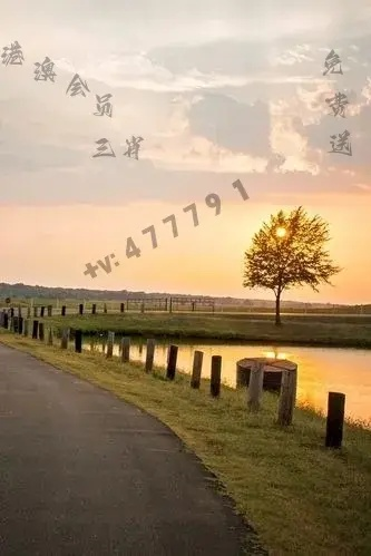 2025年澳门天天开好彩,确保问题解析_特供版116.985-5