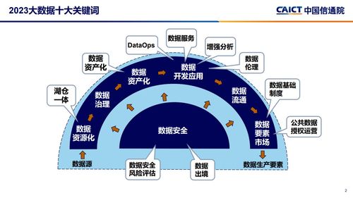 新澳精准资料免费提供221期,实地分析数据执行_钻石版191.123