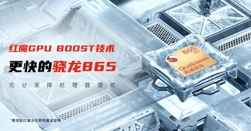 2025新澳门正版免费正题,可靠研究解释定义_pro5.765