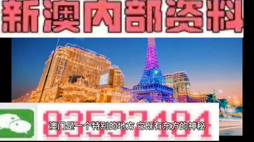 新澳内部资料免费精准37b,创新执行计划_尊贵版10.289