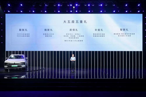 新澳门一肖一特一中,安全性方案设计_Essential3.170