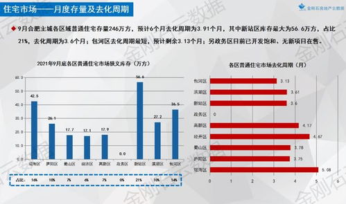 一码一肖一特一中2025,实地考察数据分析_钻石版2.568