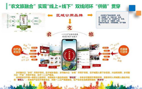 2025今晚澳门开特马王中王,专业分析解析说明_MT9.312