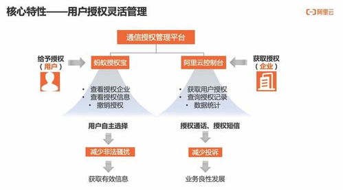 2025年澳门正版免费,可靠数据解释定义_特供版17.105