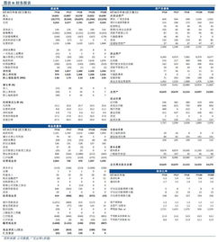 2025澳门开奖结果记录,定性解析评估_Gold8.203