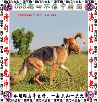 新澳2025今晚开奖资料四不像,权威评估解析_pack8.586