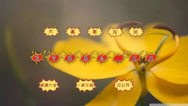 澳门生肖资料,60549,科学分析解释定义_挑战款13.500