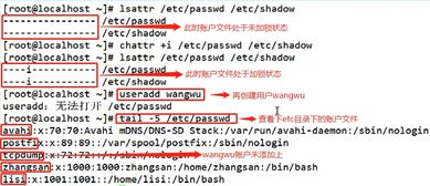 2025正版澳门跑狗图最新版今天,迅捷解答问题处理_Linux2.633