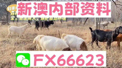 2025新澳天天正版资料大全,动态说明解析_特别版5.421