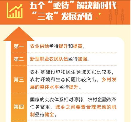 2025年管家婆一奖一特一中,持续执行策略_C版11.826